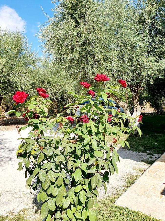 Alexandros Stone House Nydri (Lefkada) Exterior foto